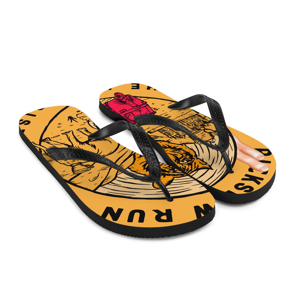 Special Edition Pete Flipetty-Flops to Save the World