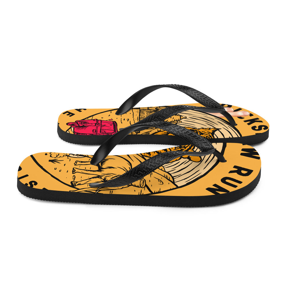Special Edition Pete Flipetty-Flops to Save the World